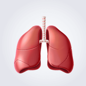 小分子肽對肺部的幫助-小分子肽推薦