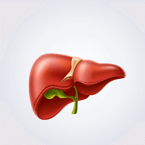 小分子肽對肝臟的幫助-小分子肽推薦